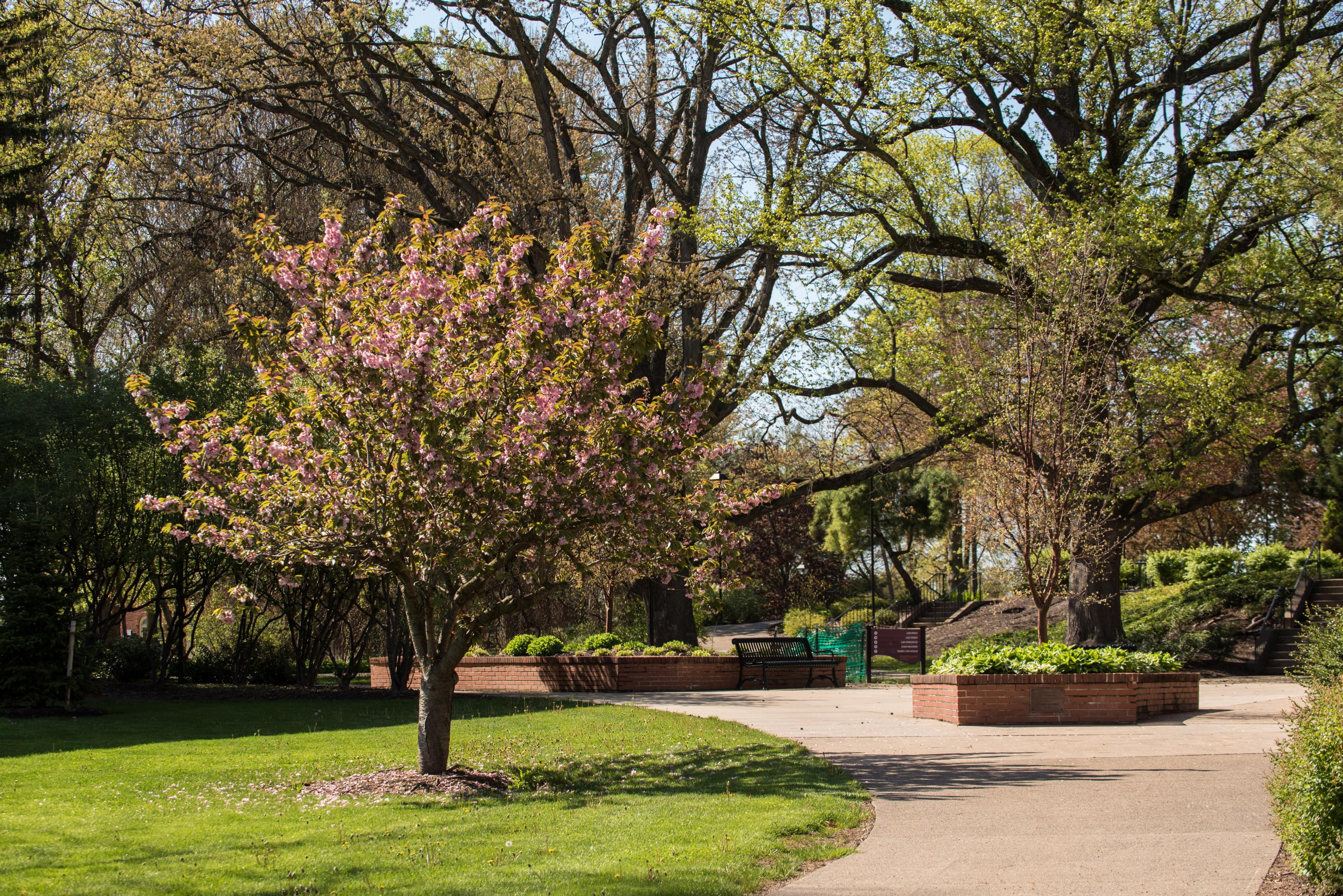 Campus Beauty